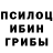 Псилоцибиновые грибы прущие грибы _Platogens
