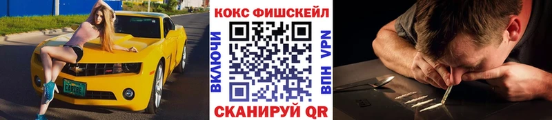 Купить где Ачхой-Мартан Cocaine Эквадор