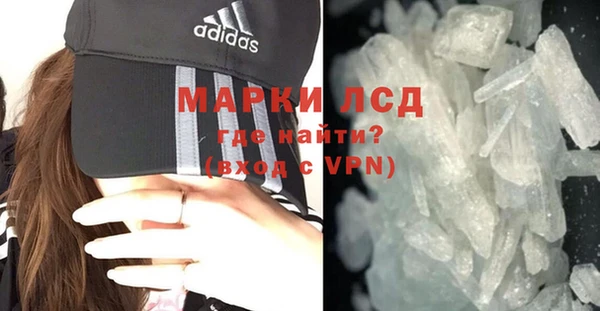 дживик Вязьма