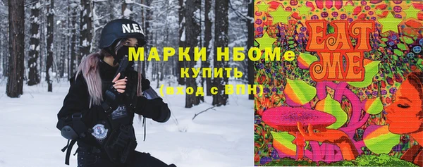 дживик Вязьма