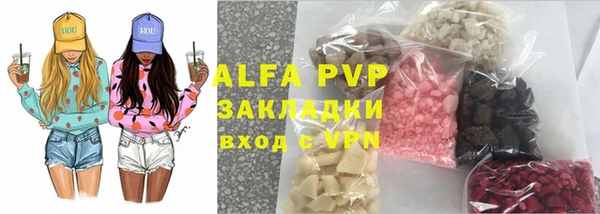 дживик Вязьма