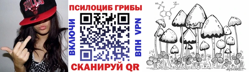 Купить  Ачхой-Мартан  Псилоцибиновые грибы Magic Shrooms 